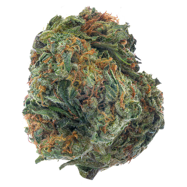 SFV OG  - 14 Grams - Indica