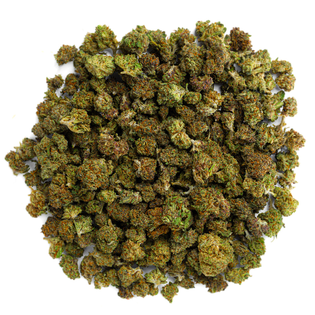 Purple Jack Indoor - 28 gramos - Sativa 