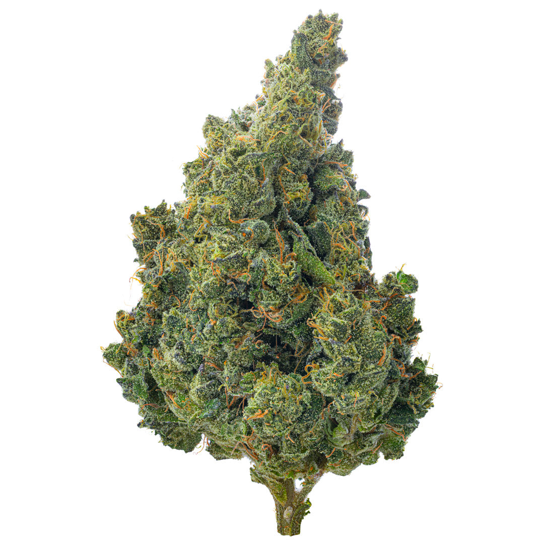 Super Lemon Haze de interior - 14 gramos - Sativa