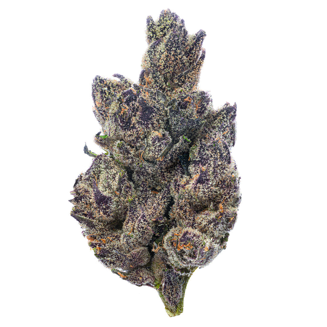 Exóticos de interior - Purple Jack - 28 gramos - Híbrido