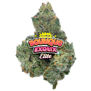 Elite Boutique Exotics - Caramelo Z - 4 gramos - Indica 