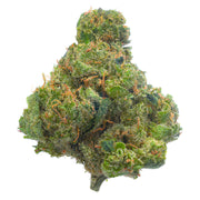 Jack Herer - 4 Grams - Sativa