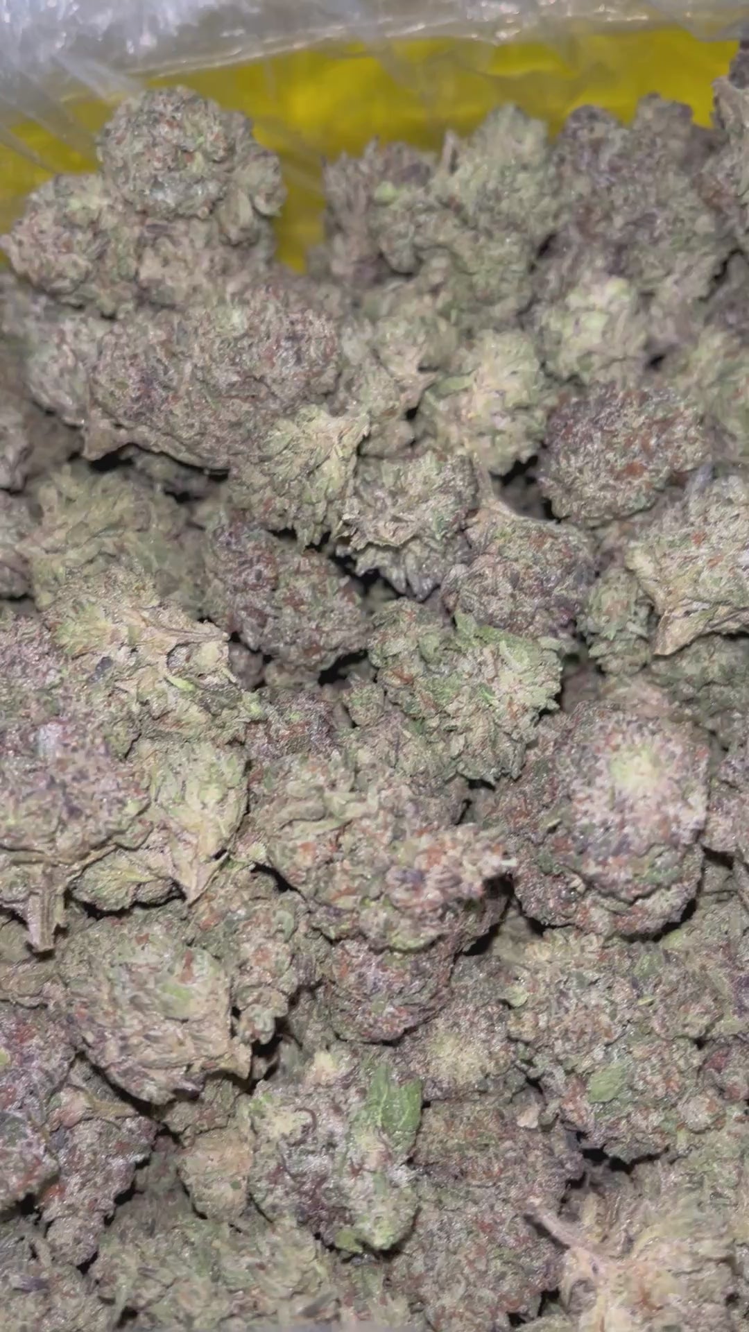 Load video: Black Cherry Caviar - Bulk - Indica