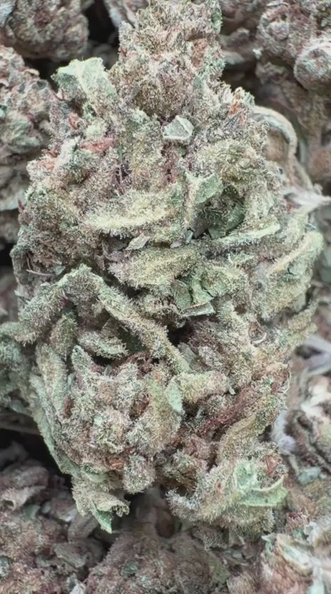 Load video: Darth Vader - Bulk - Indica