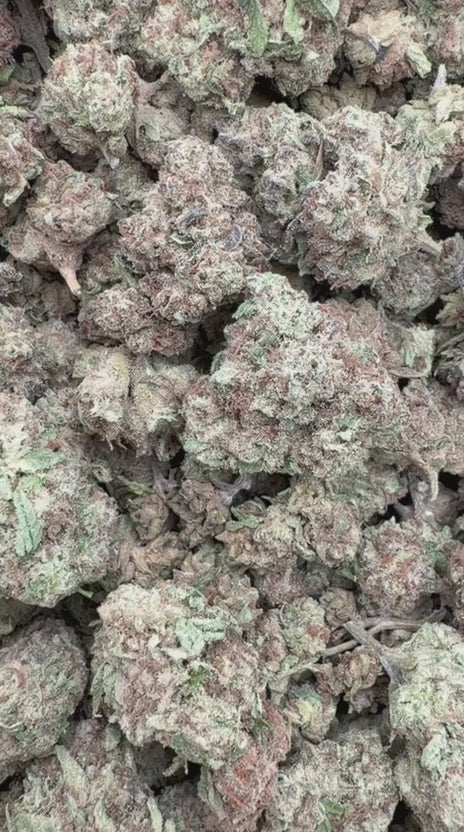 Cargar vídeo: Frambuesa Kush Littles - Bulk Littles - Indica