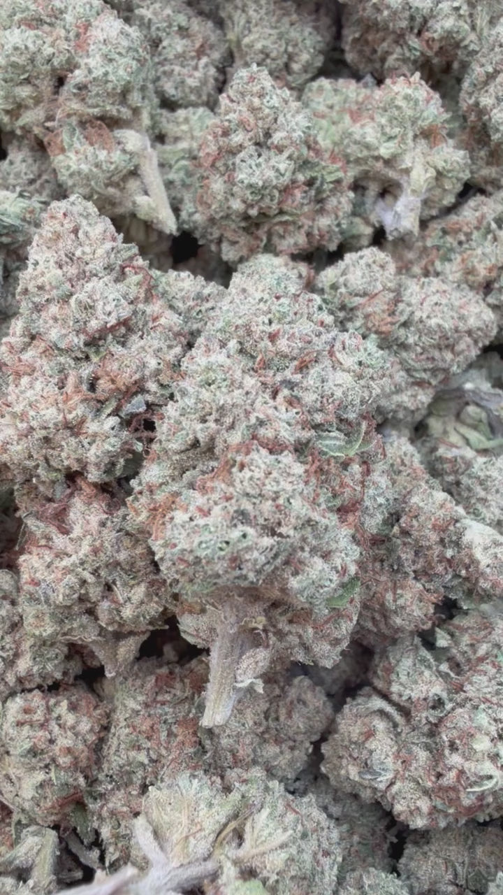 Load video: Blueberry Muffins - Bulk - Indica