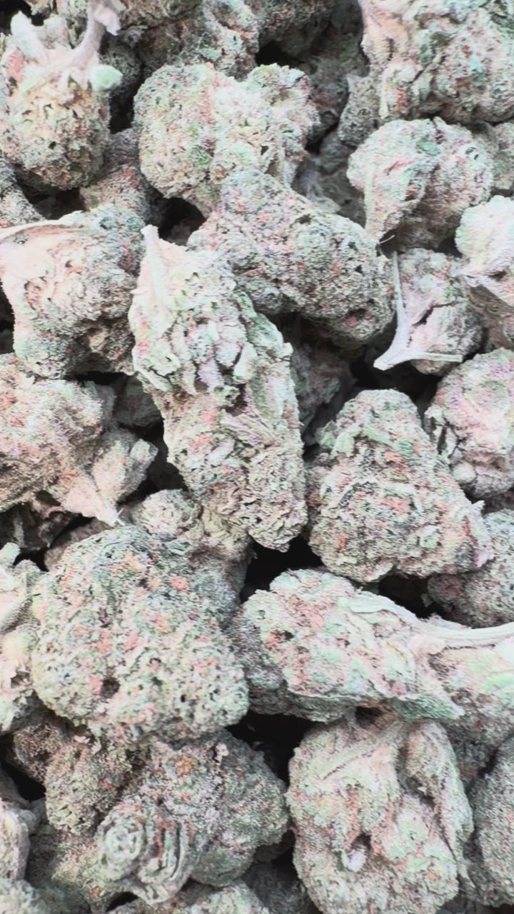 Load video: Nimbus Snacks Mediums - Bulk Mediums - Hybrid
