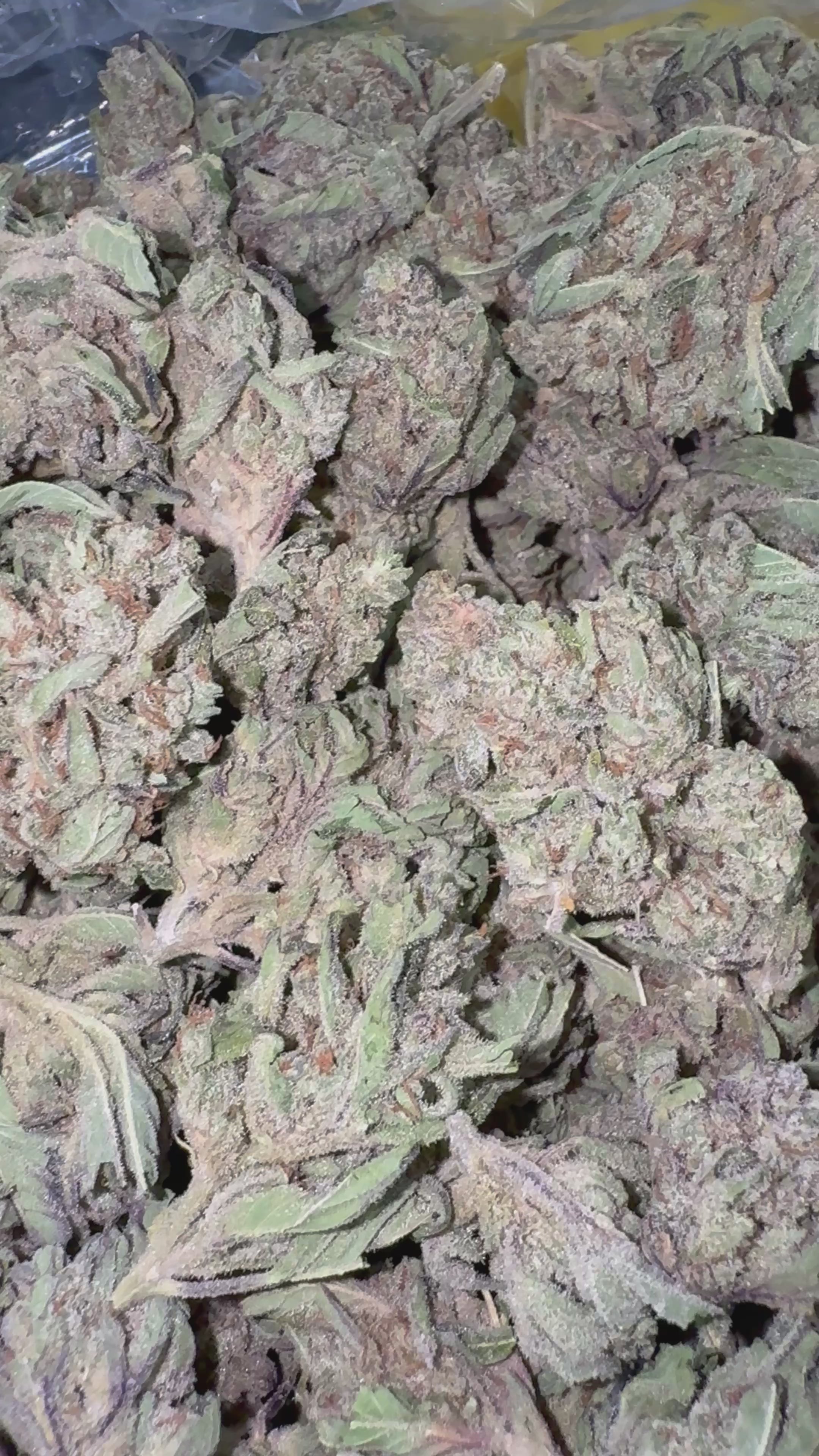 Load video: Gas Candy - Bulk - Hybrid