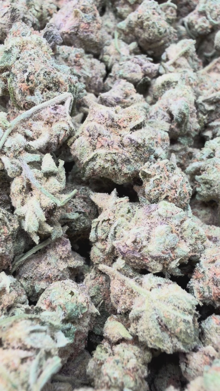 Load video: Snowman Littles - Bulk Littles - Hybrid