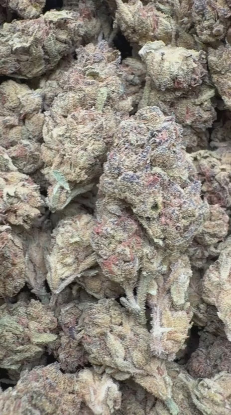Load video: Sherbet &amp; Haze - Bulk - Sativa