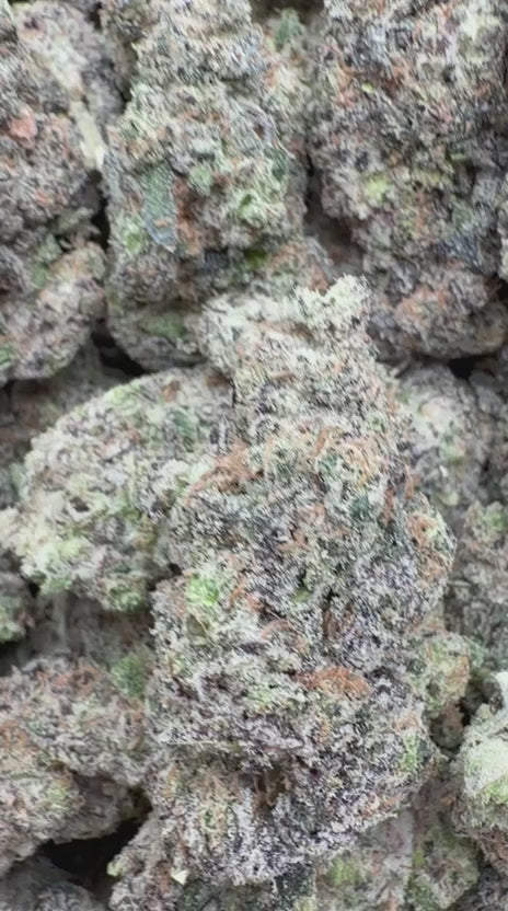 Load video: Han Solo Burger Indoor - Bulk - Indica