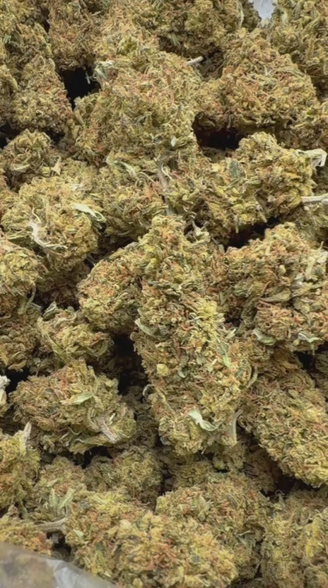 Cargar vídeo: Super Silver Lemon Haze - A granel - Sativa 