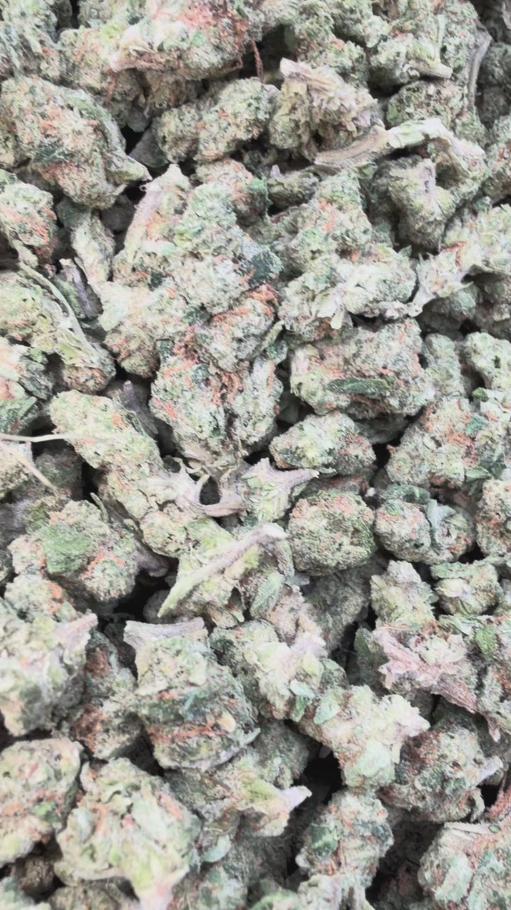 Load video: Kush Mintz Littles - Bulk Littles - Hybrid