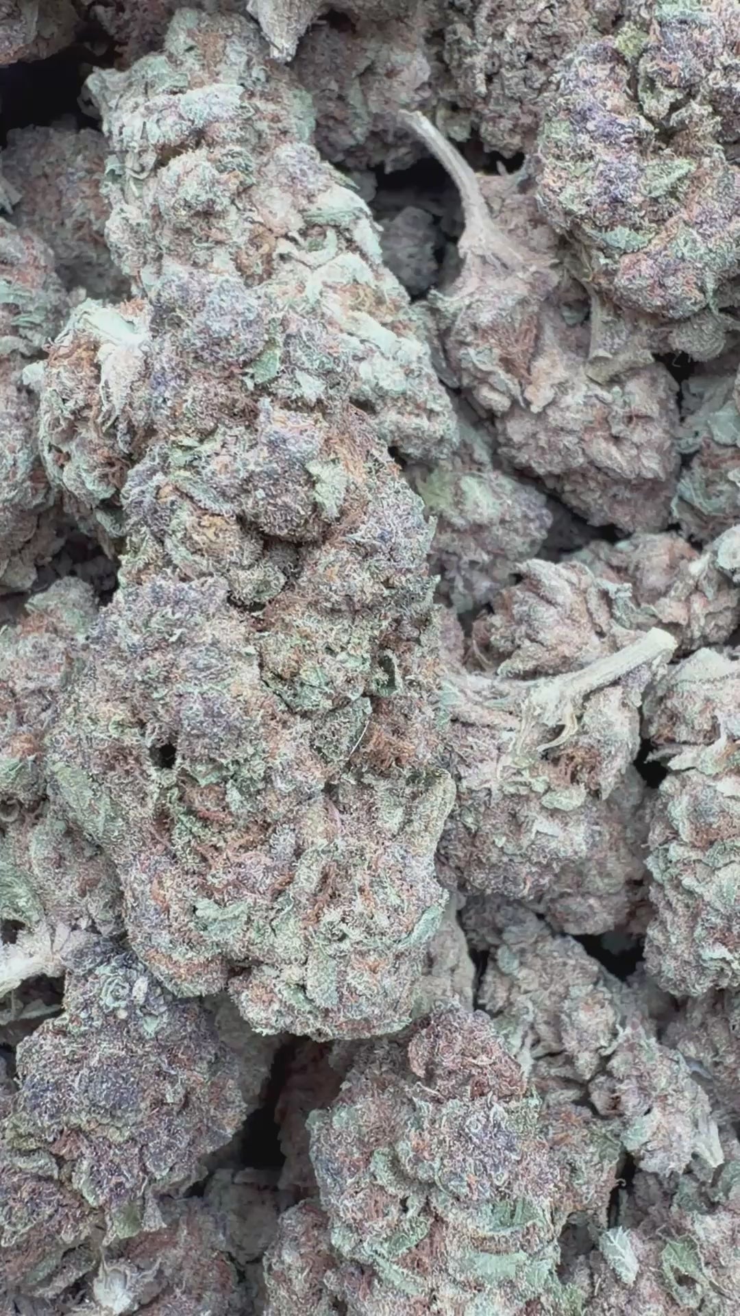 Cargar vídeo: Maui Wowie - A granel - Sativa 