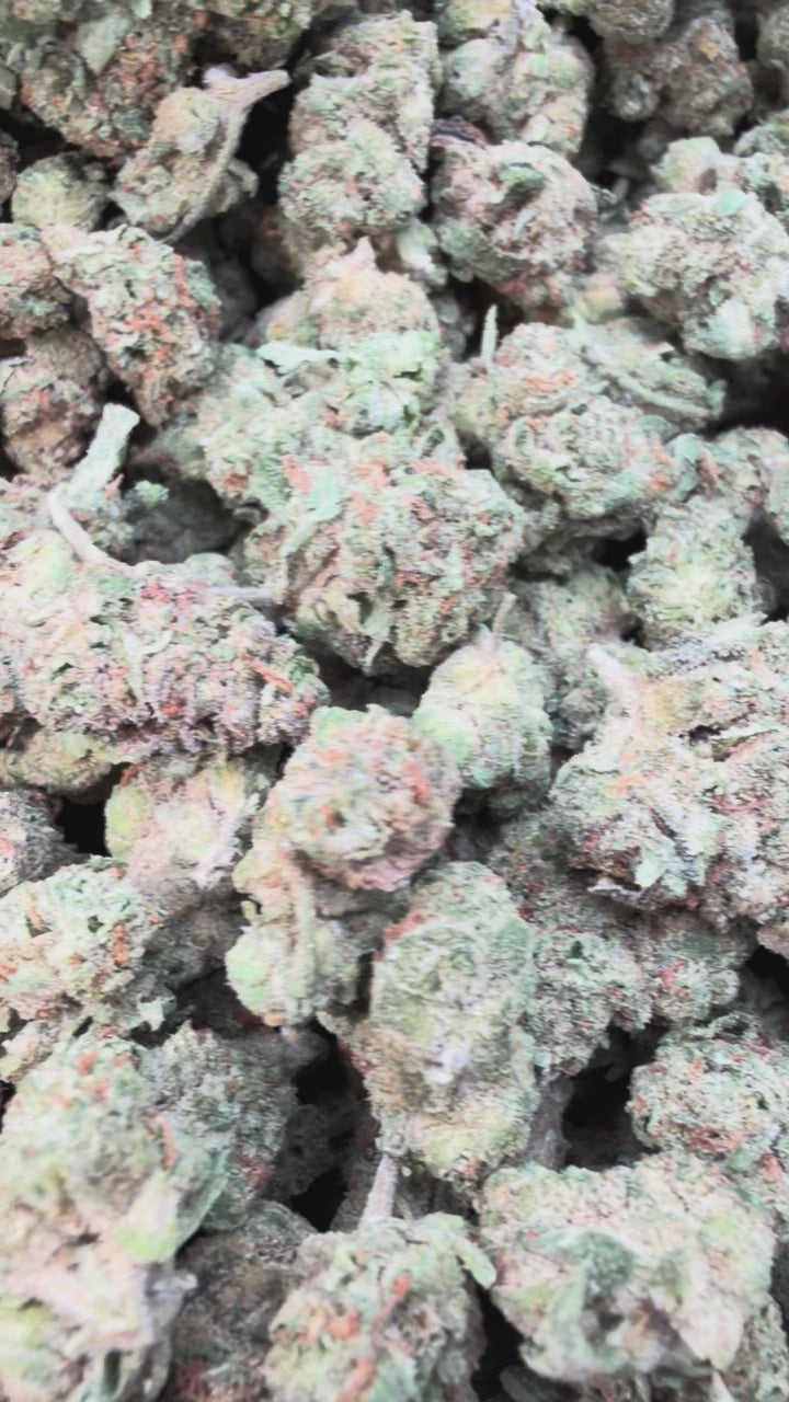 Load video: Bling Blaow Littles - Bulk Littles - Hybrid