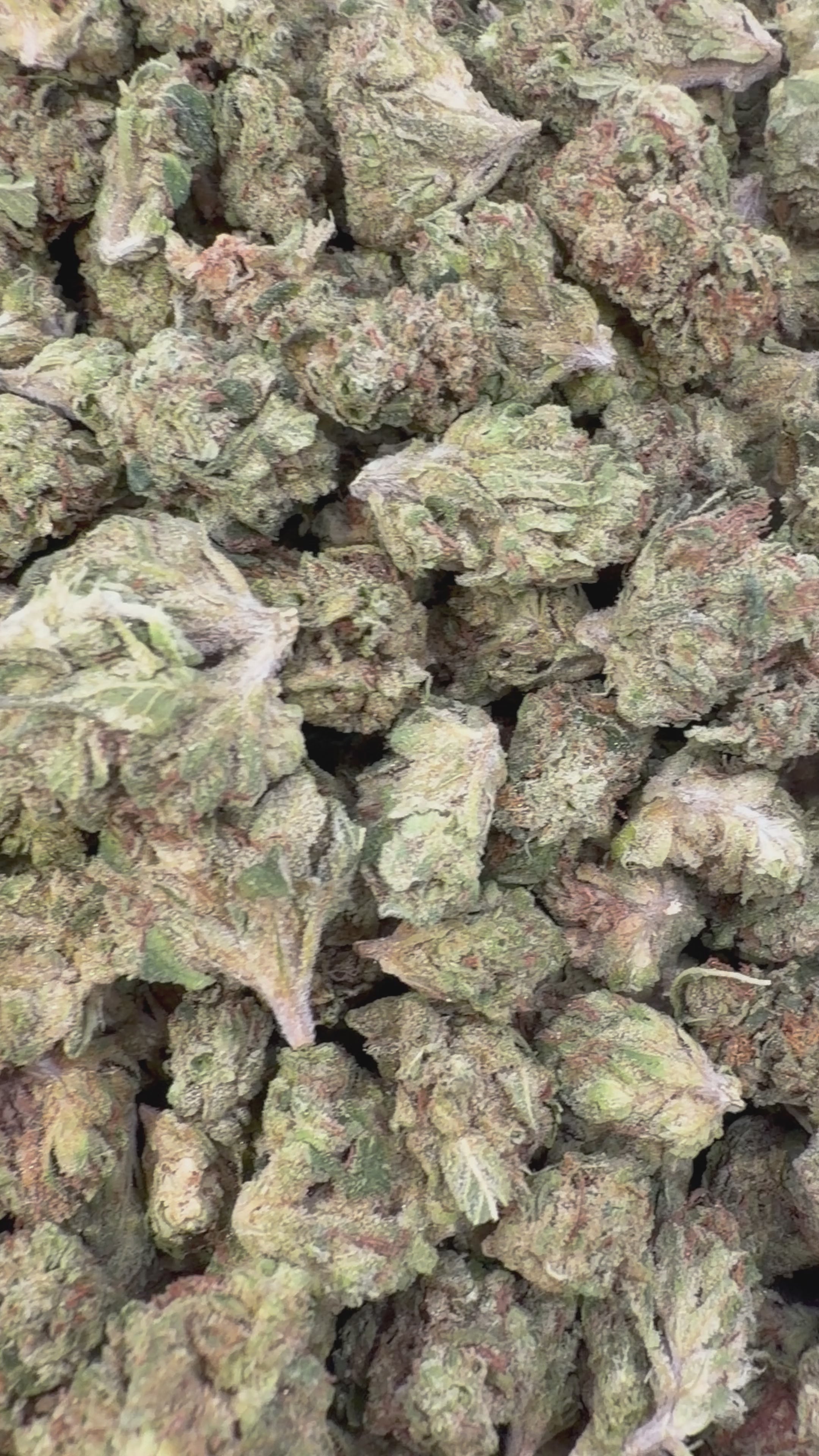 Load video: Sour Diesel Littles - Bulk Littles - Sativa