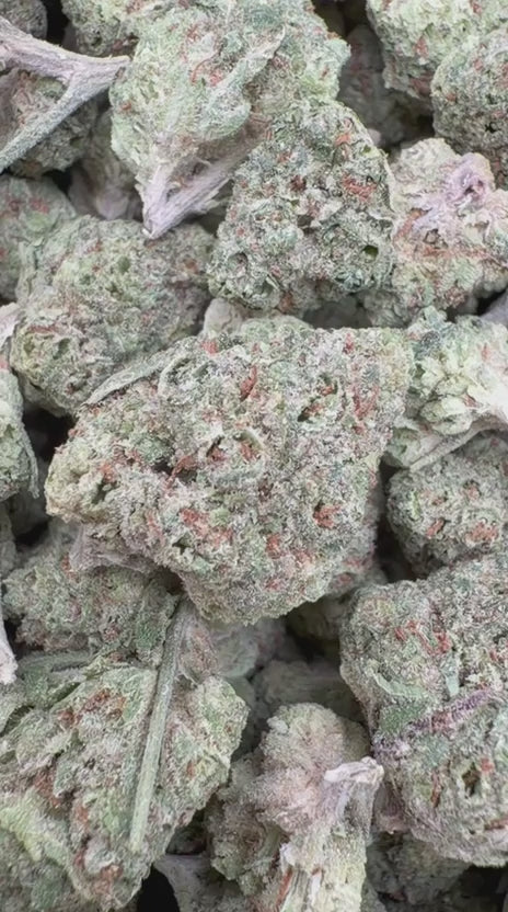 Load video: Lemon Bar Mediums - Bulk Mediums - Sativa