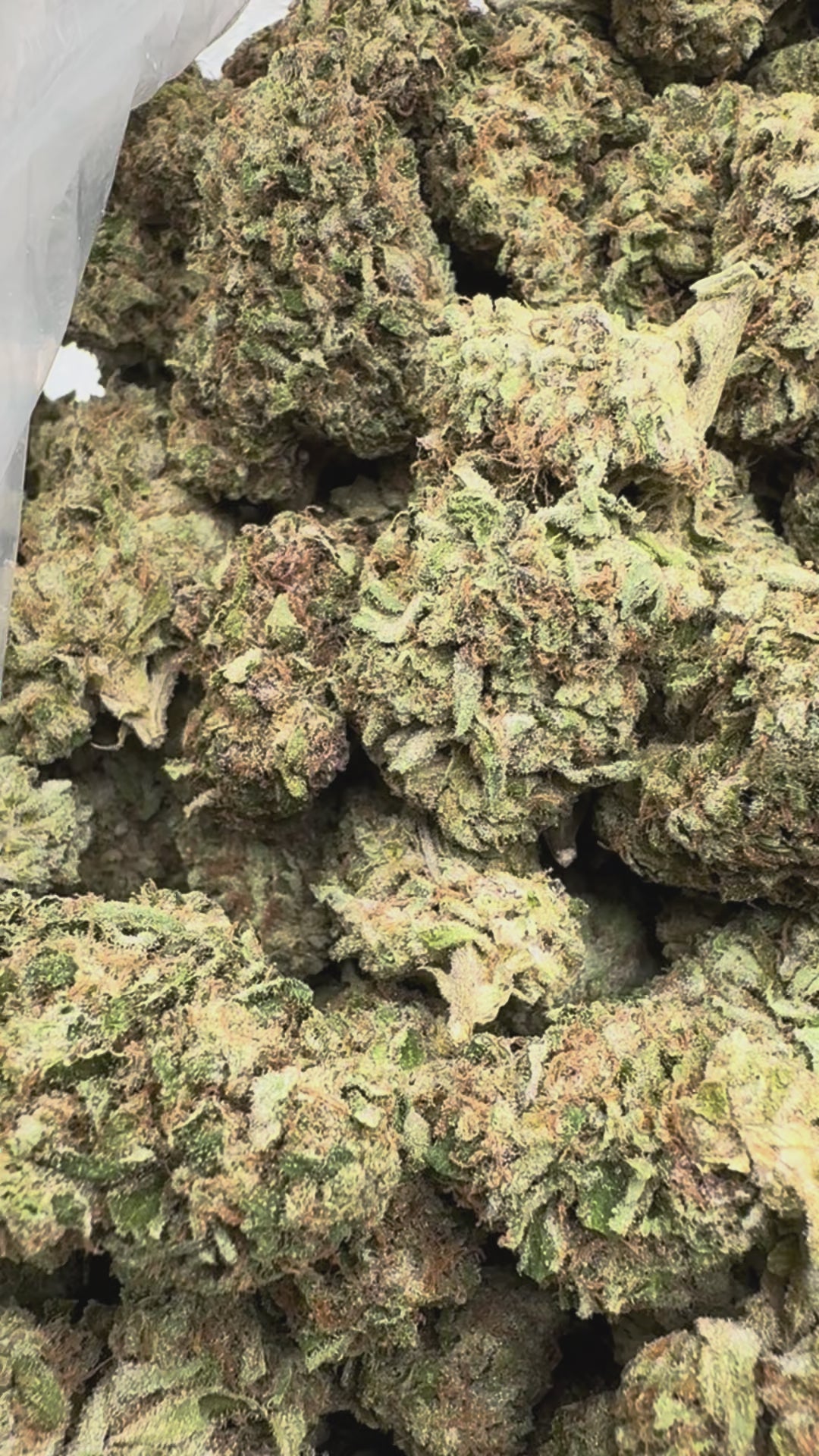 Load video: Super Boof - Bulk - Hybrid