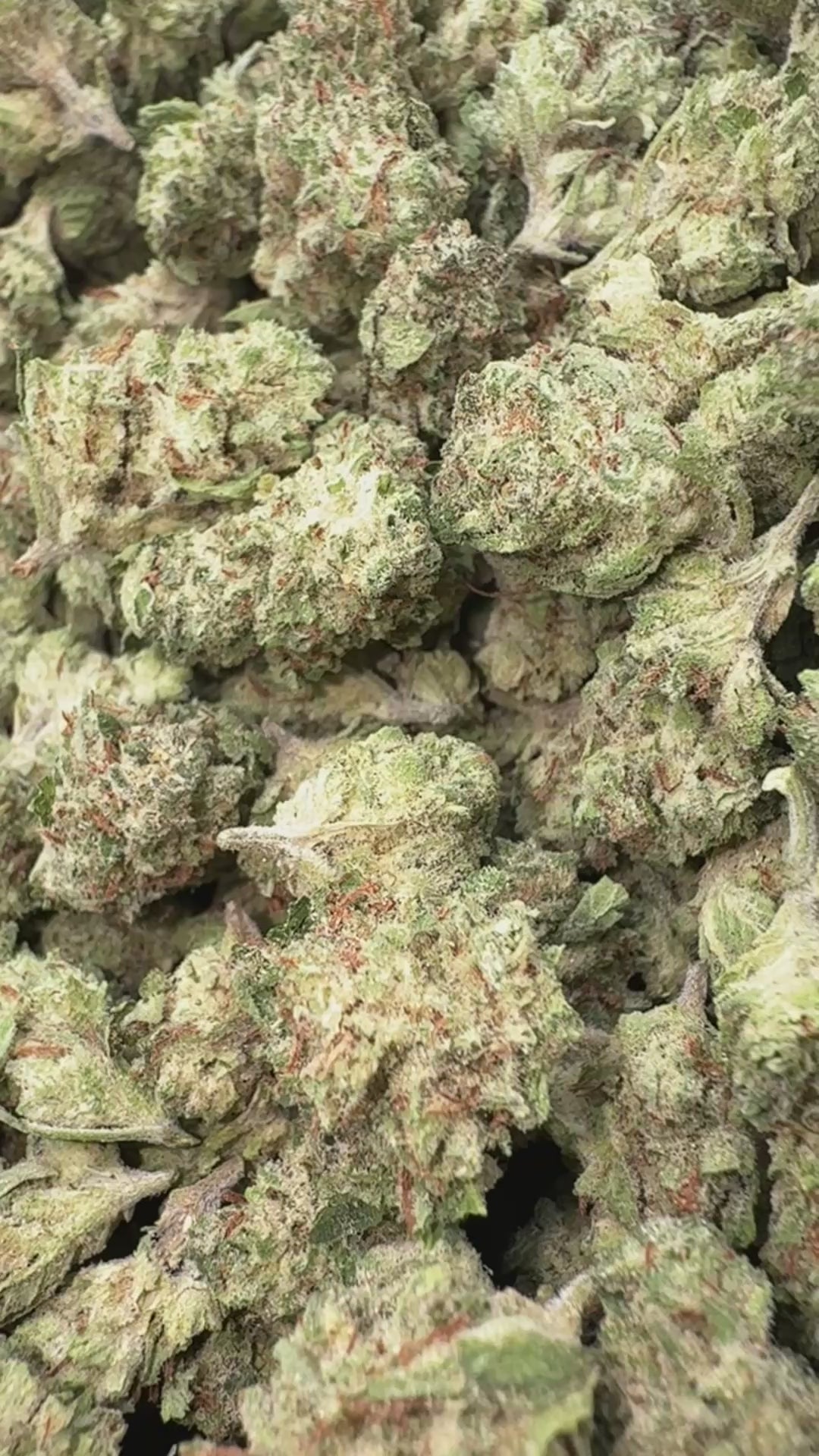 Load video: Durban Poison Littles - Bulk Littles - Sativa