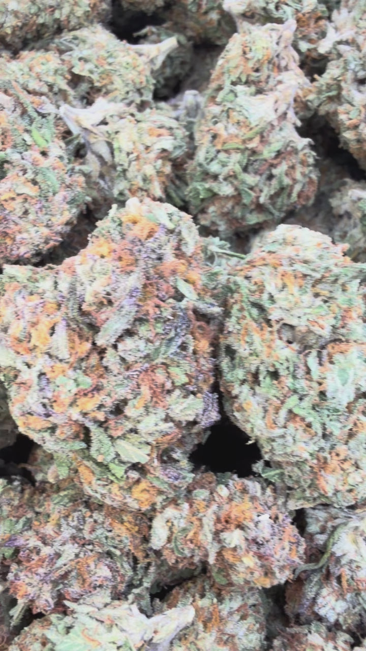 Load video: Zereal - Bulk - Hybrid