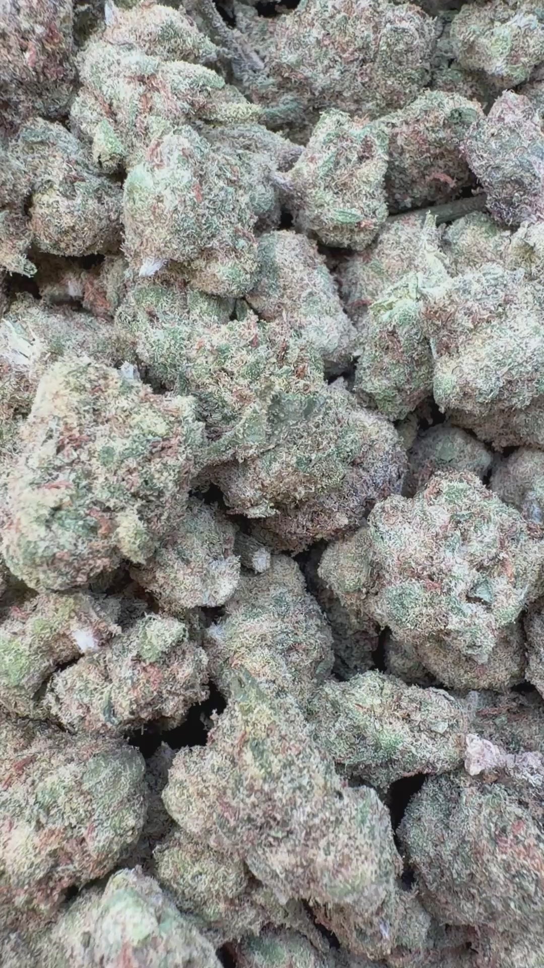 Cargar vídeo: Gas de la risa Littles - Bulk Littles - Híbrido