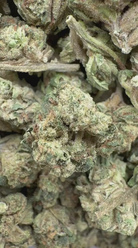 Cargar vídeo: Pastel de bodas de interior - Pequeñas plantas a granel - Indica