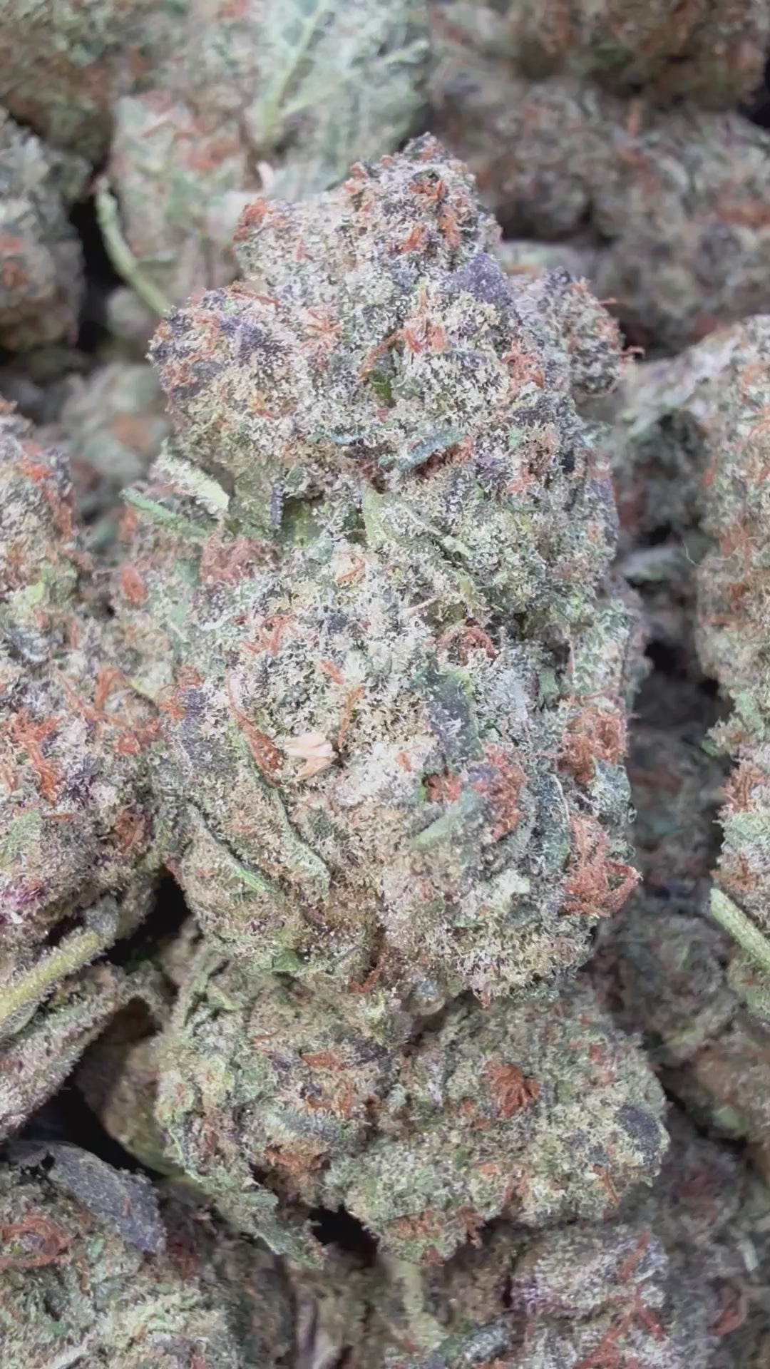 Load video: Jolly Ranchers - Bulk - Indica
