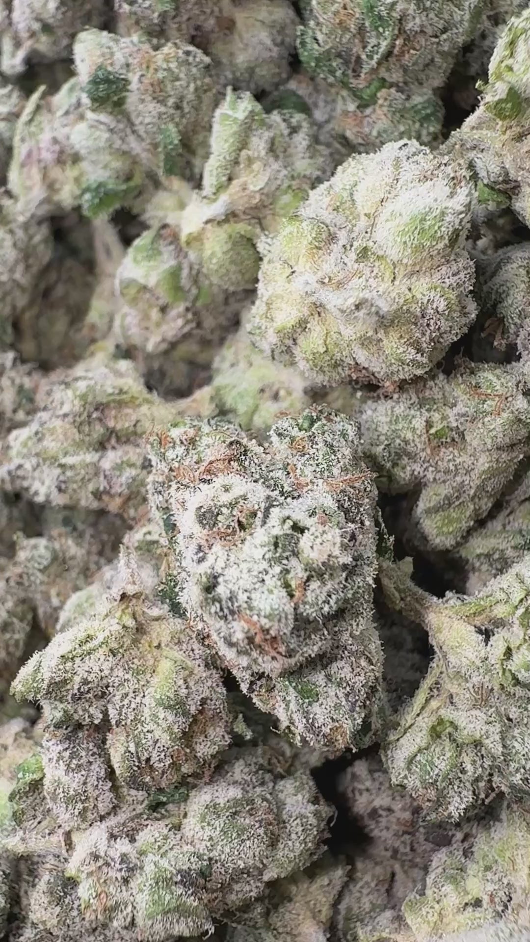 Load video: Boutique Exotics Mylar Magic - Bulk - Hybrid