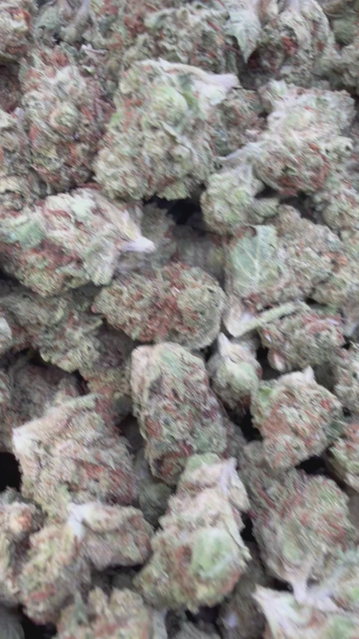 Load video: White Zkittlez Littles - Bulk Littles - Hybrid