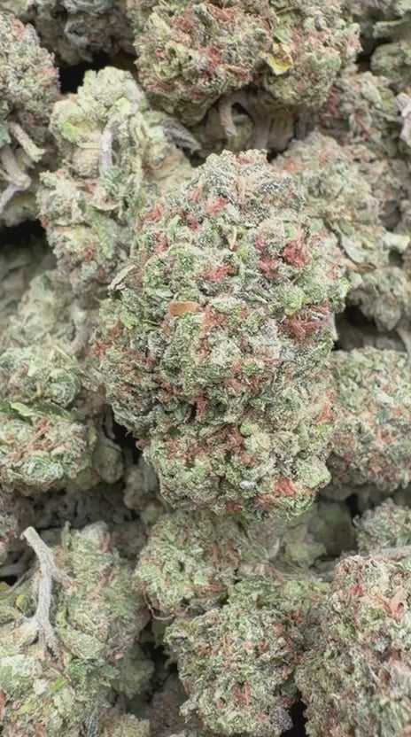 Load video: Lemon Cherry Biscotti - Bulk - Hybrid