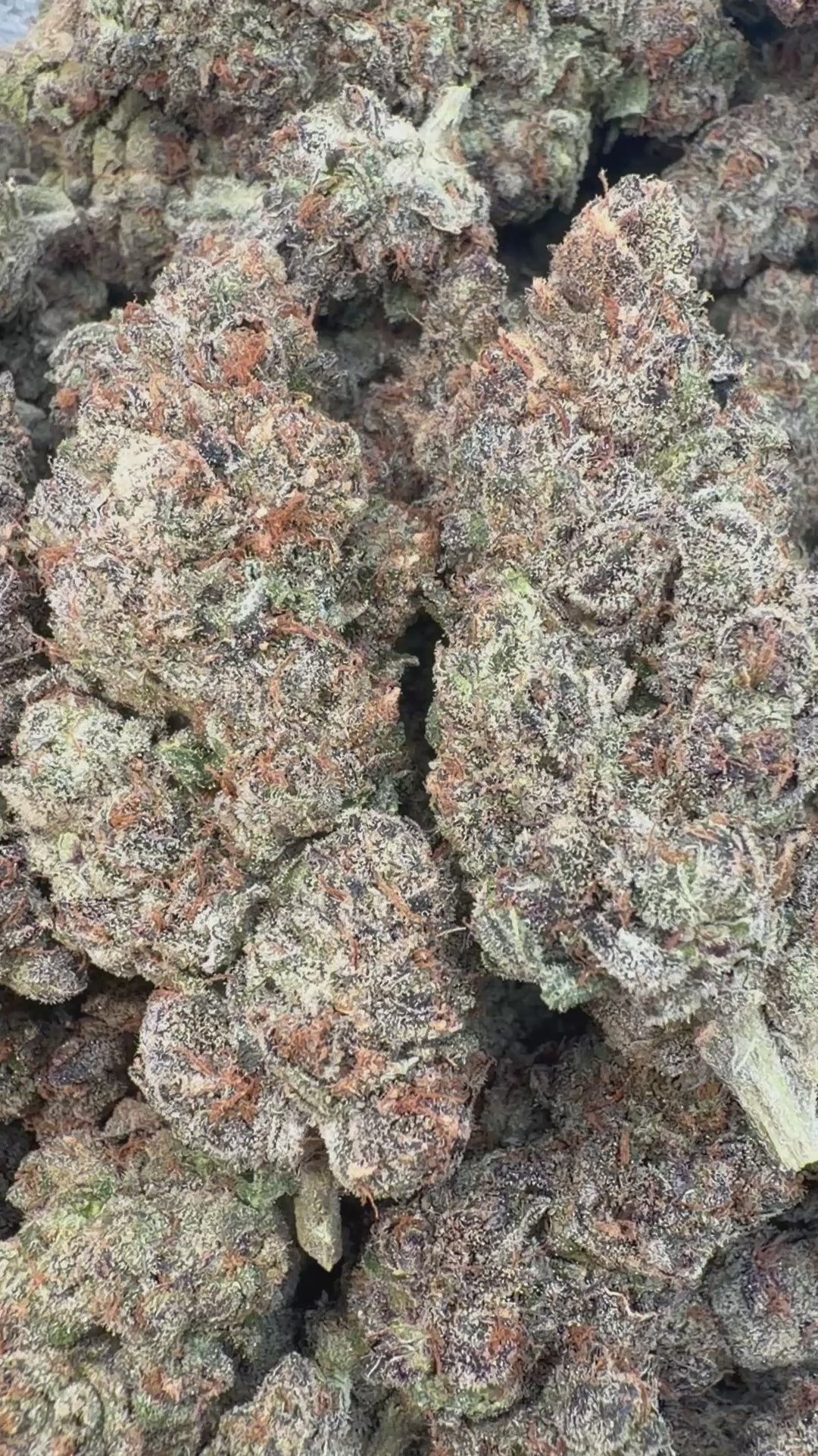 Cargar vídeo: Cerezas aterciopeladas - A granel - Indica