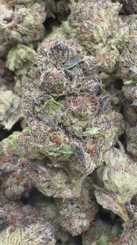 Load video: Black Cherry Runtz Indoor - Bulk - Indica