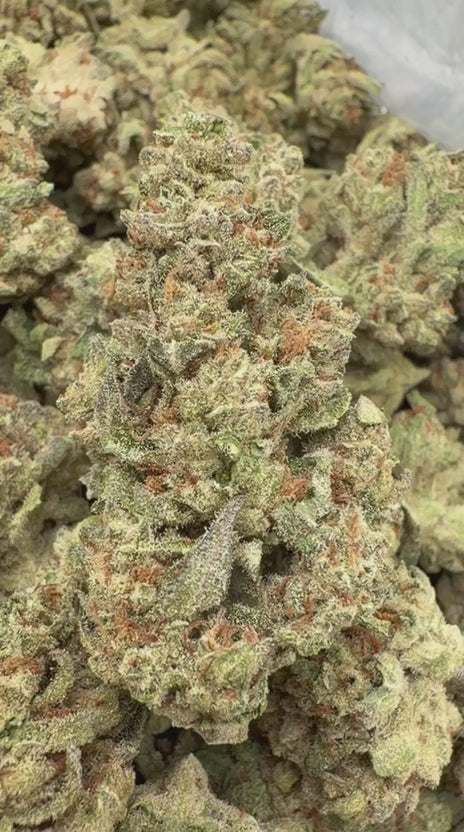 Load video: West Coast Chronic - Bulk - Hybrid