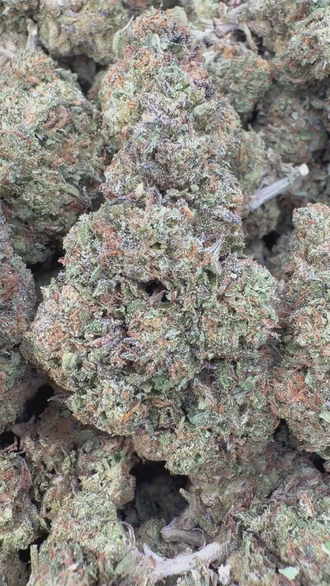 Cargar vídeo: Durban Poison - A granel - Sativa 