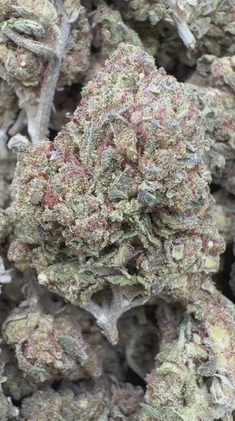 Cargar vídeo: Gelato 33 - A granel - Híbrido 