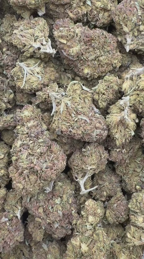 Load video: UK Cheese - Bulk - Hybrid