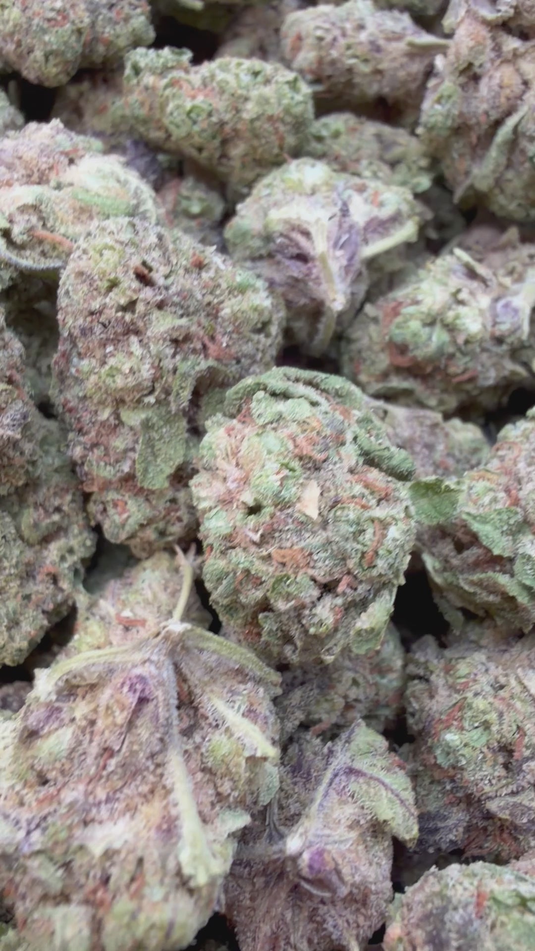 Load video: Bling Blaow Mediums - Bulk Mediums - Hybrid