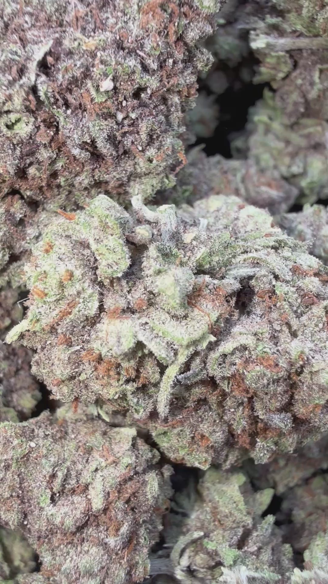 Cargar vídeo: CheeseCake 41 - A granel - Indica
