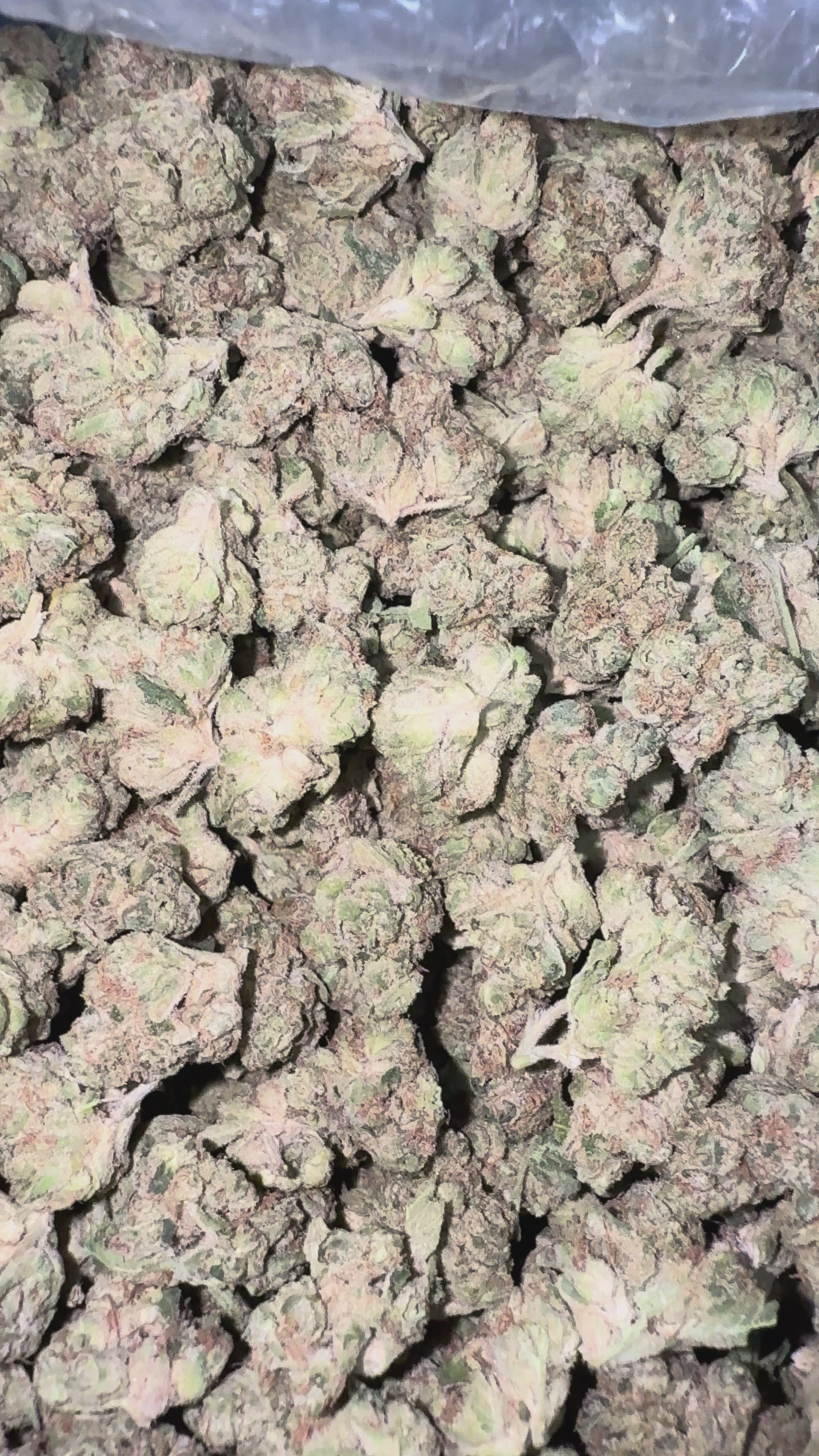 Load video: Thin Mintz Littles - Bulk Littles- Hybrid