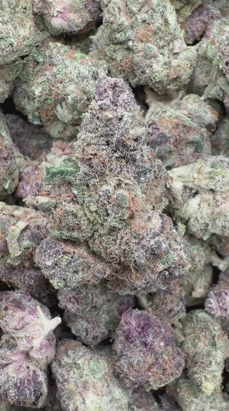 Load video: Trop Cherry Indoor - Bulk - Sativa