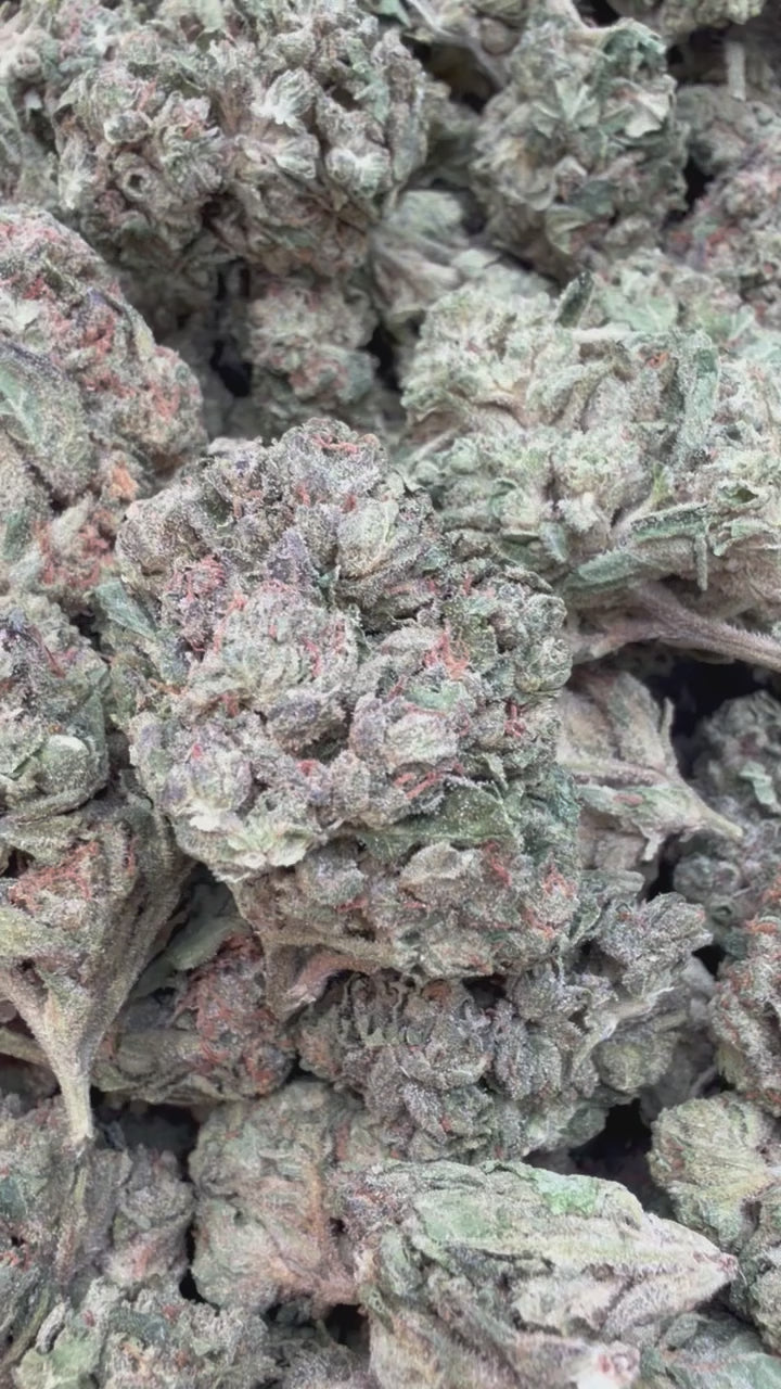 Load video: Hash Plant - Bulk - Indica