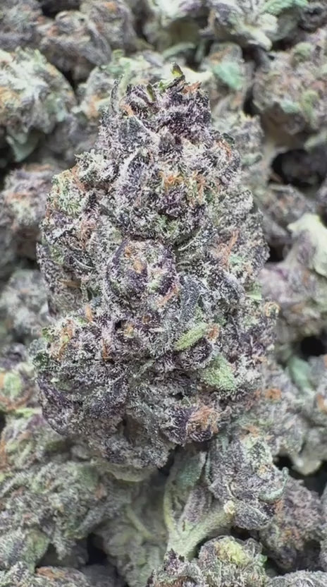 Load video: Velvet Cherries Indoor Mediums - Bulk Mediums - Indica