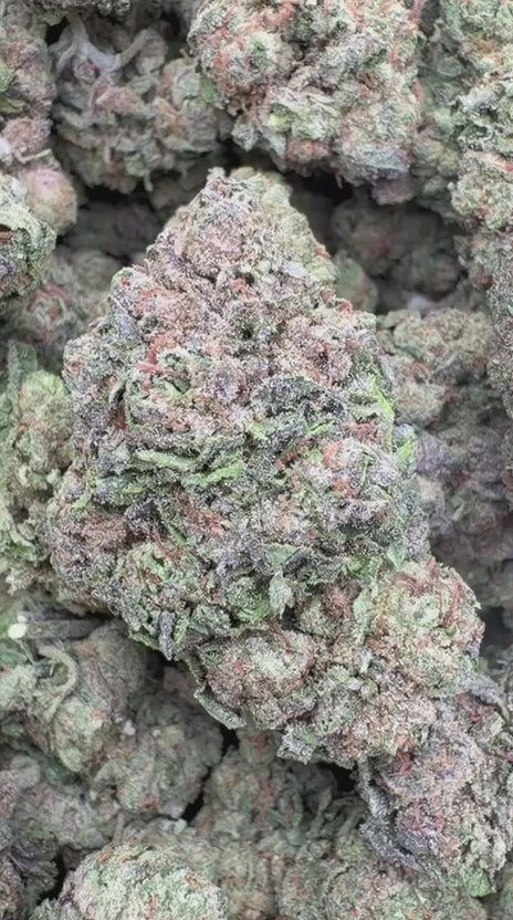 Load video: Ice Runtz - Bulk - Indica