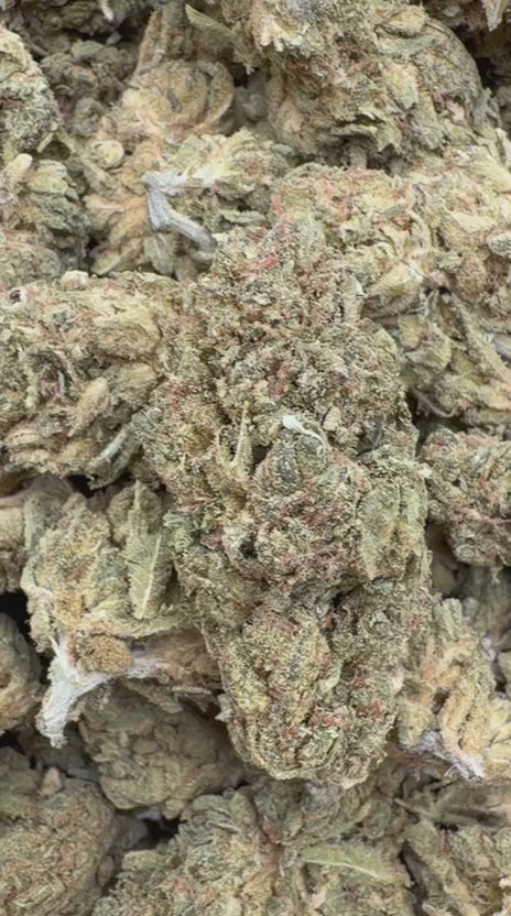 Cargar vídeo: Banjo - A granel - Sativa