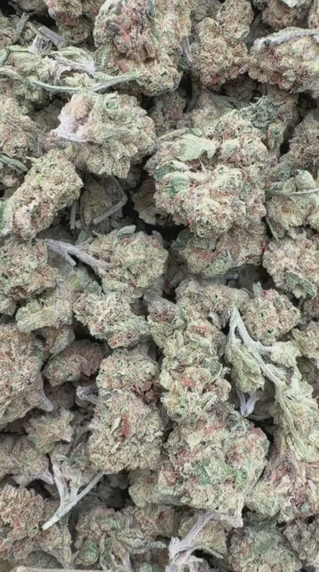 Cargar vídeo: Do Si Dos x Lava Cake Littles - Littles a granel - Indica