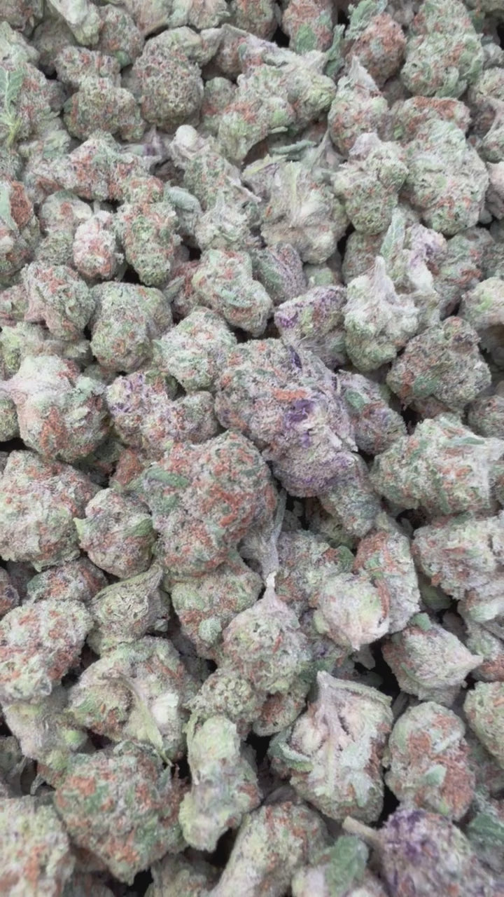 Load video: Apple Fritter Littles - Bulk Littles - Hybrid