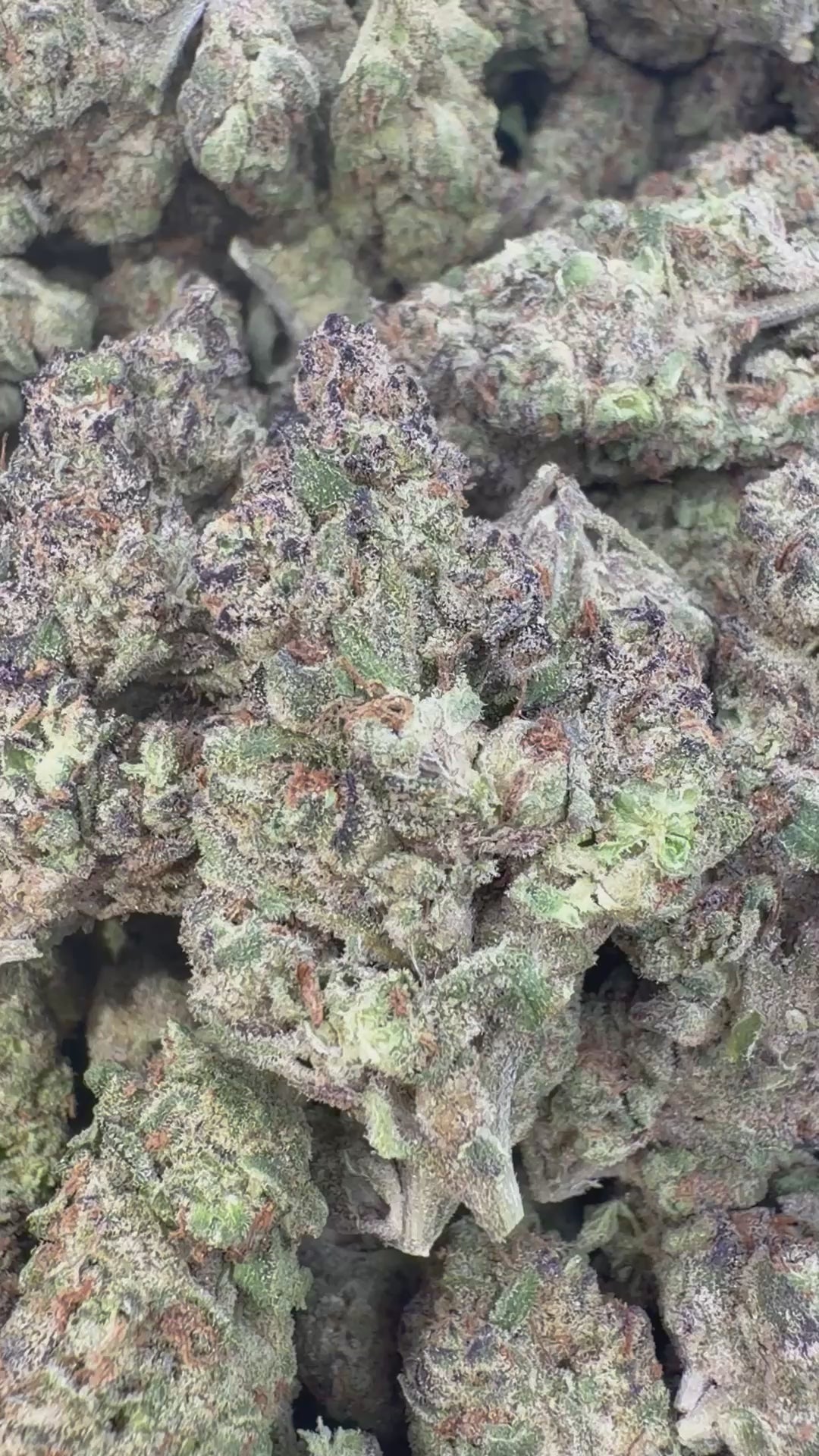 Load video: Gush Mintz Indoor - Bulk - Indica