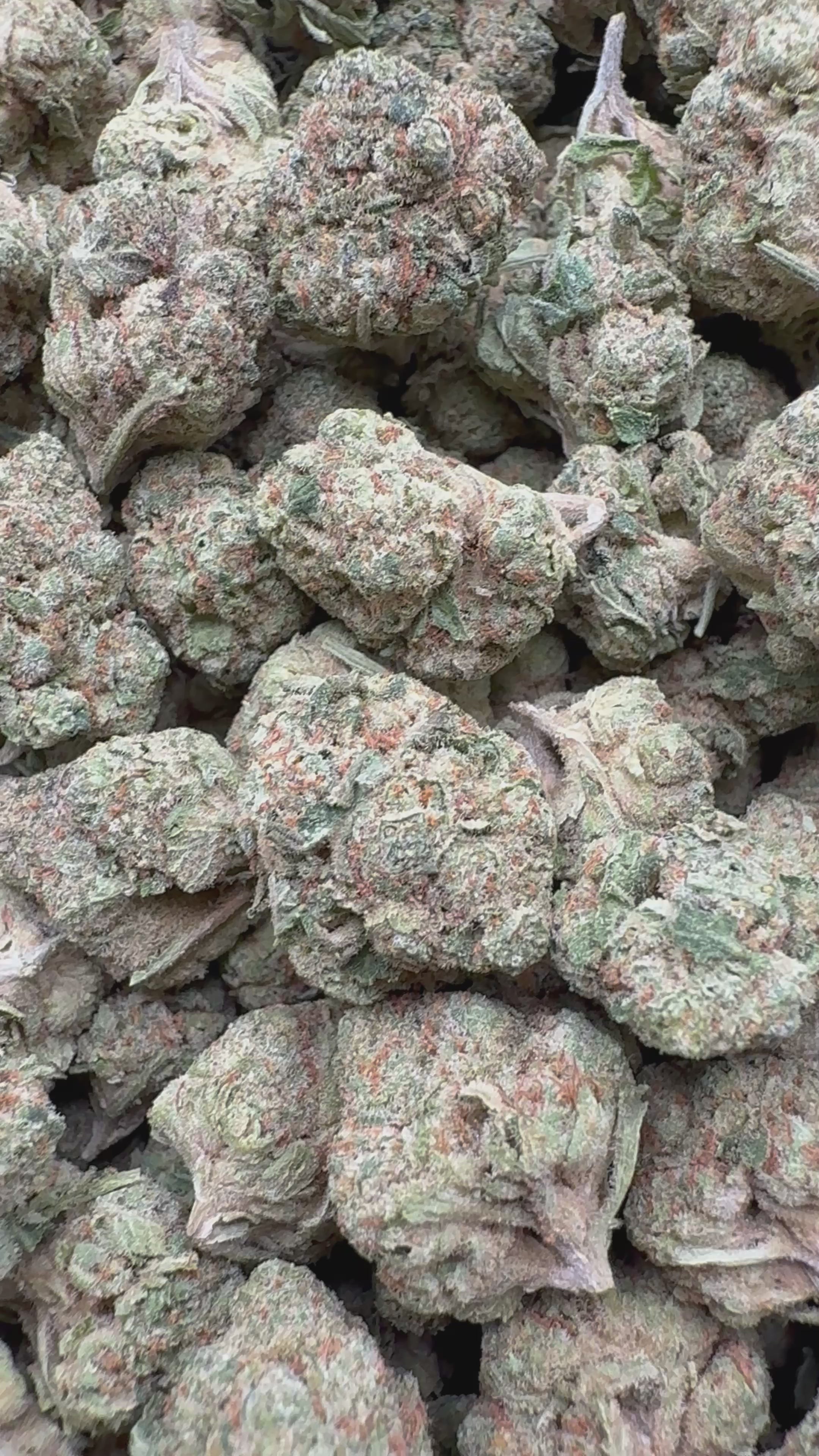 Load video: High Society Mediums - Bulk Mediums - Hybrid