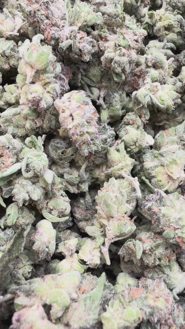 Load video: Durban Mintz Indoor Littles - Bulk Littles - Indica