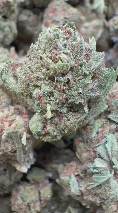 Load video: Citrus Skunk Mediums - Bulk Mediums - Hybrid